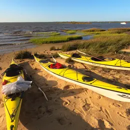 Sortie en kayak de mer - Découverte du delta de l'Eyre et du Bassin d'Arcachon