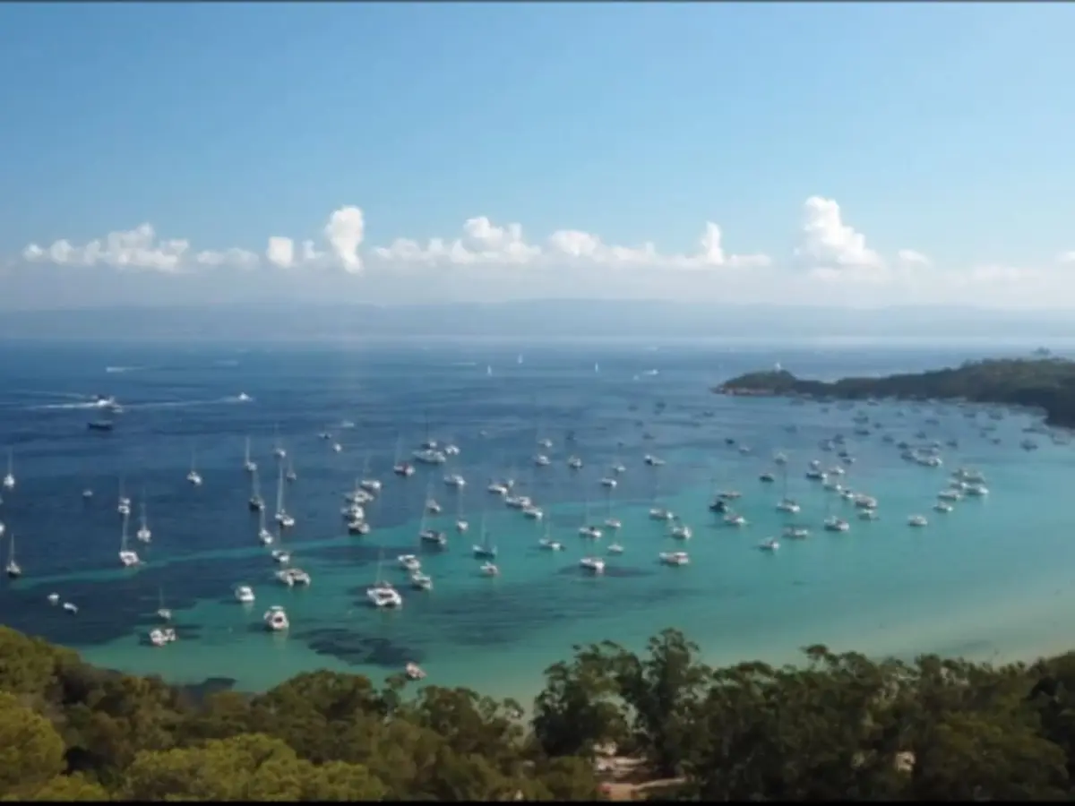 Sortie en semi-rigide baleines et escale Porquerolles, de Bandol