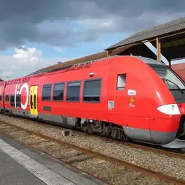 Sortie en train Eco-Metro, départ gare de Millau - Discussion en Anglais - été 2026
