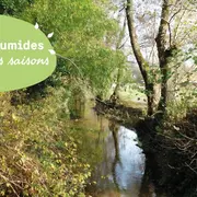 Sortie entre les jalles : venez découvrir Castelnau-de-Médoc