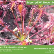 Sortie entre tourbière et marais