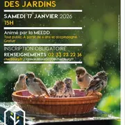 Sortie : les oiseaux les jardins