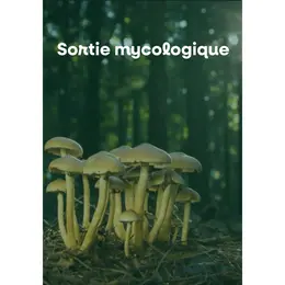 Sortie mycologique