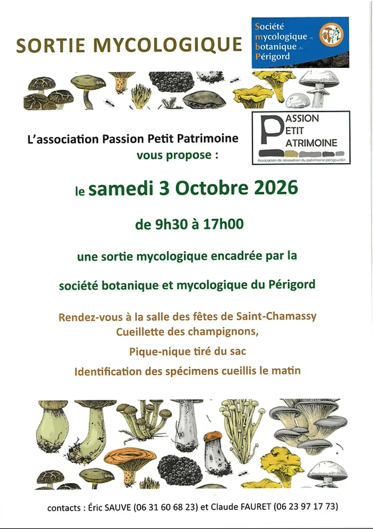 Sortie mycologique
