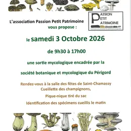 Sortie mycologique