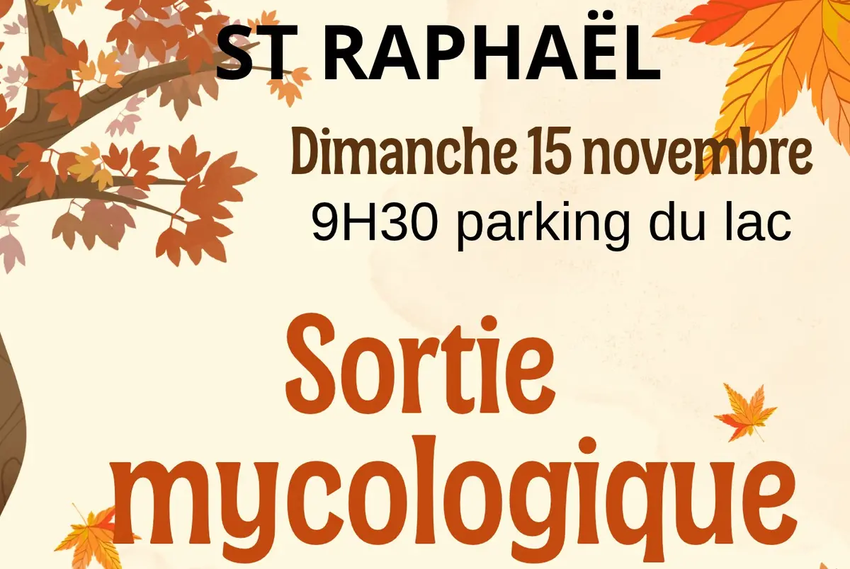 Sortie mycologique et rencontre