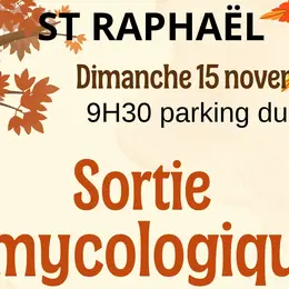 Sortie mycologique et rencontre