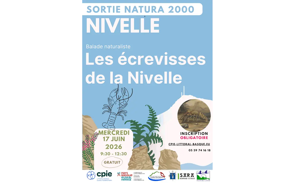 Sortie Natura 2000 CPIE : Les écrevisses de la Nivelle