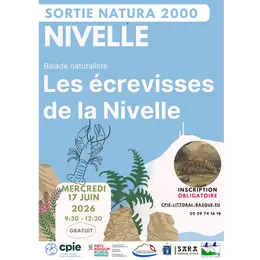 Sortie Natura 2000 CPIE : Les écrevisses de la Nivelle