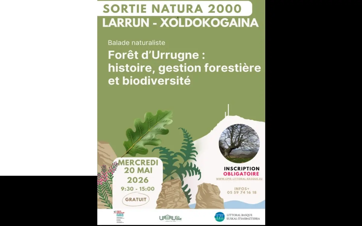 Sortie Natura 2000 LARRUN-XOLDOKOGAINA - Forêt d'Urrugne: histoire, gestion forestière et biodiversité
