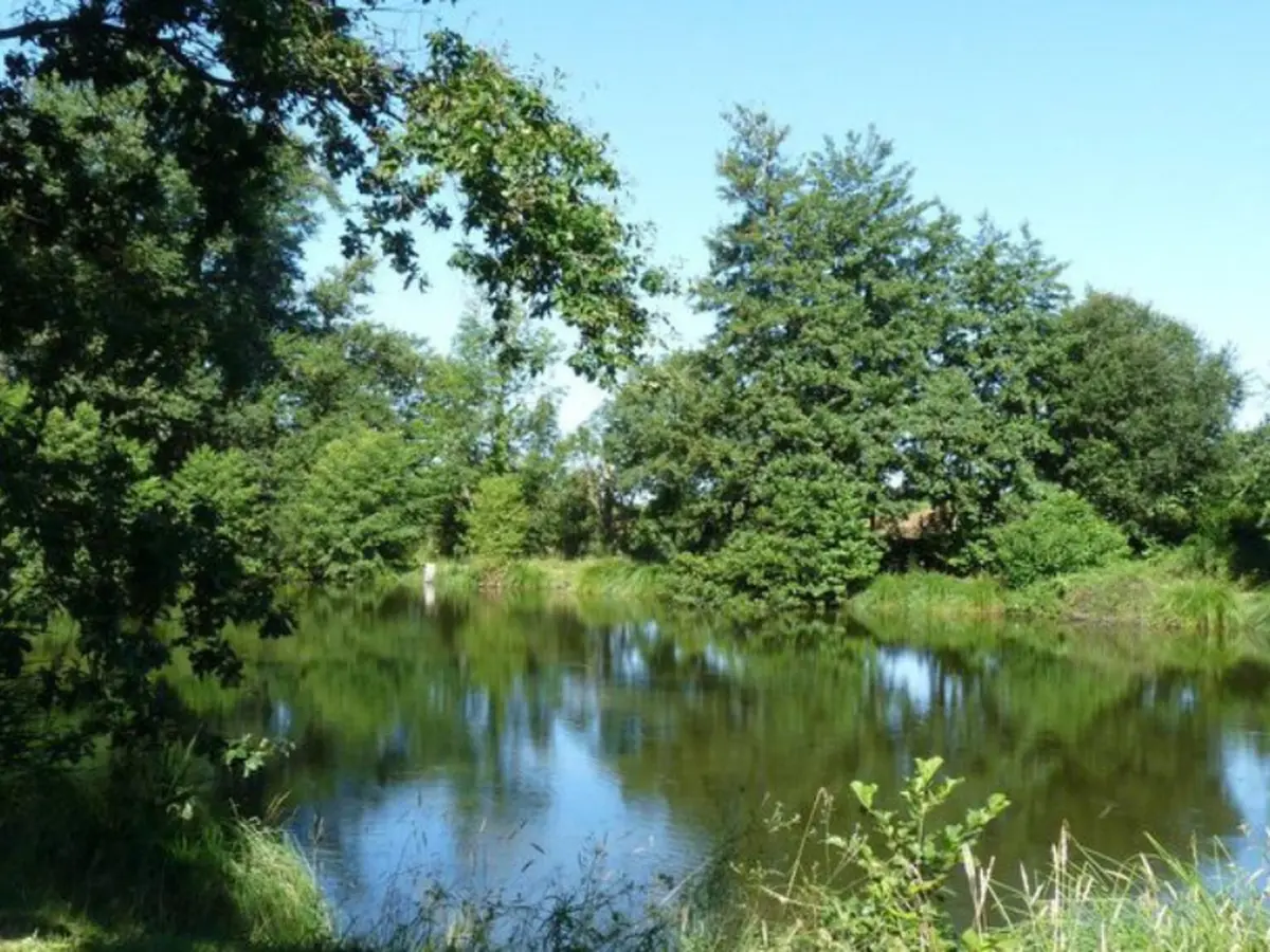 Sortie Natura 2000 Les 4 Fantastiques : Visite de l'étang de Berdassit