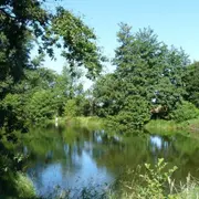 Sortie Natura 2000 Les 4 Fantastiques : Visite de l'étang de Berdassit