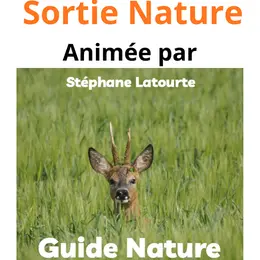 Sortie nature