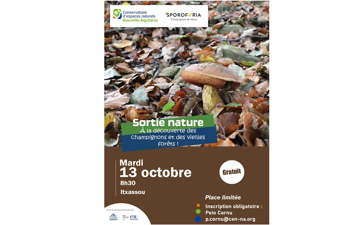 Sortie nature