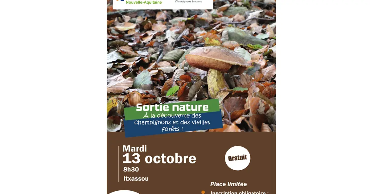 Sortie nature