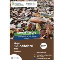 Sortie nature