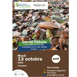 Sortie nature