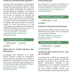 Sortie Nature