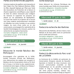 Sortie Nature