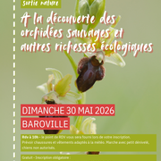 Sortie nature