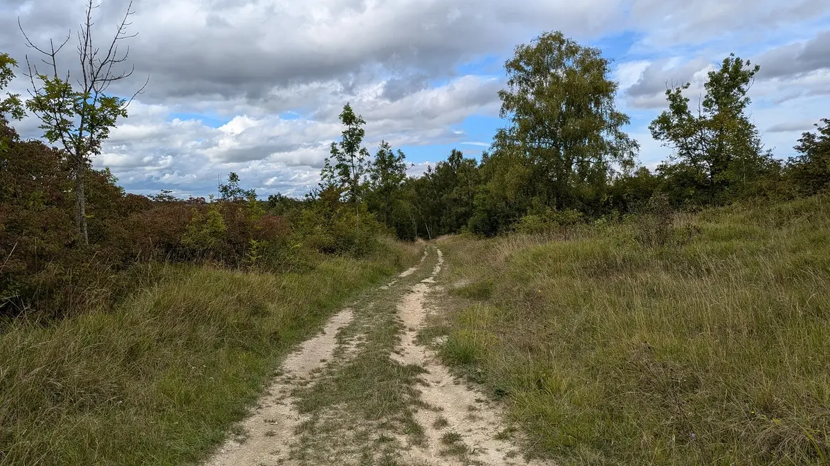 Sortie nature à Cerny-en-Laonnois : La nuit tous les papillons ne sont pas gris !