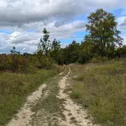 Sortie nature à Cerny-en-Laonnois : La nuit tous les papillons ne sont pas gris !