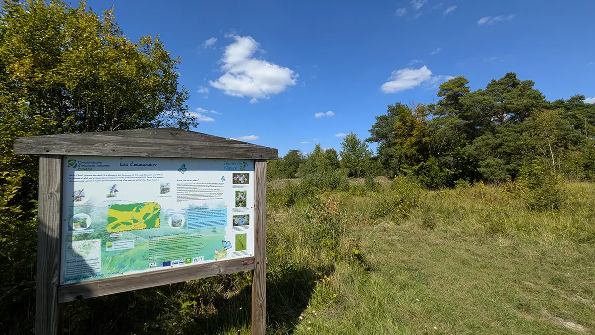 Sortie nature à Chermizy-Ailles : Les orchidées, fines stratèges !