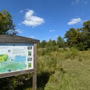 Sortie nature à Chermizy-Ailles : Les orchidées, fines stratèges !