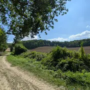 Sortie nature à Concevreux : Rando-nature à Concevreux