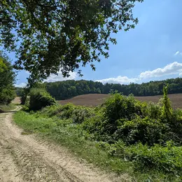 Sortie nature à Concevreux : Rando-nature à Concevreux
