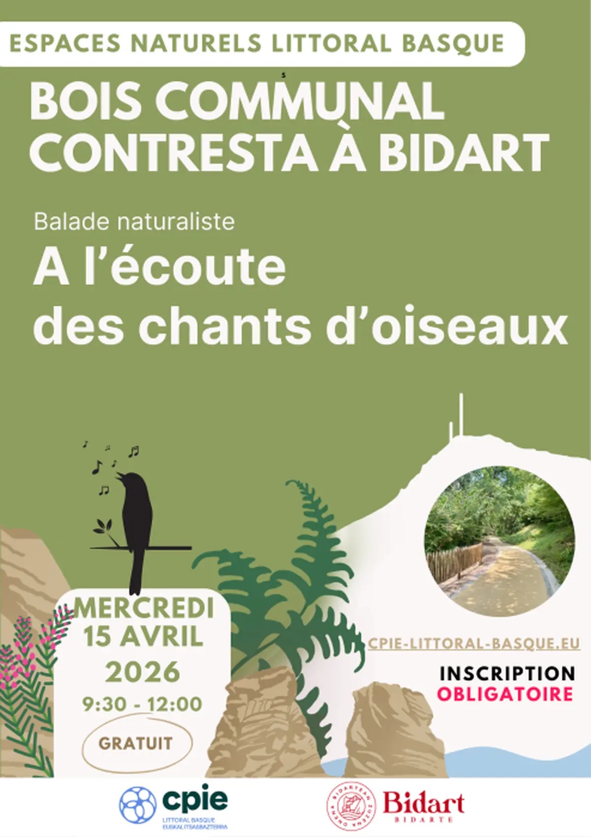 Sortie nature, à l'écoute des chants d'oiseaux au bois de Contresta à Bidart - CPIE Littoral basque