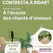 Sortie nature, à l'écoute des chants d'oiseaux au bois de Contresta à Bidart - CPIE Littoral basque