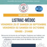 Sortie nature. À l’écoute du brame du cerf !