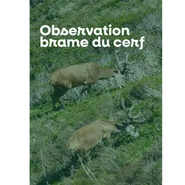 Sortie nature à l'écoute du brame du cerf