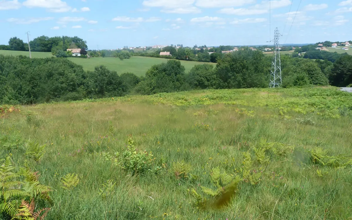 Sortie nature - à la découverte de l'Azuré des  mouillères