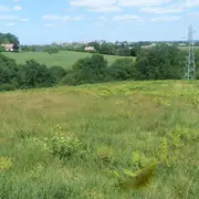 Sortie nature - à la découverte de l'Azuré des  mouillères