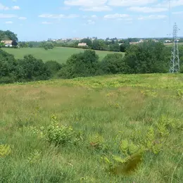 Sortie nature - à la découverte de l'Azuré des  mouillères