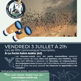 Sortie nature • à la découverte des colonies chauves-souris