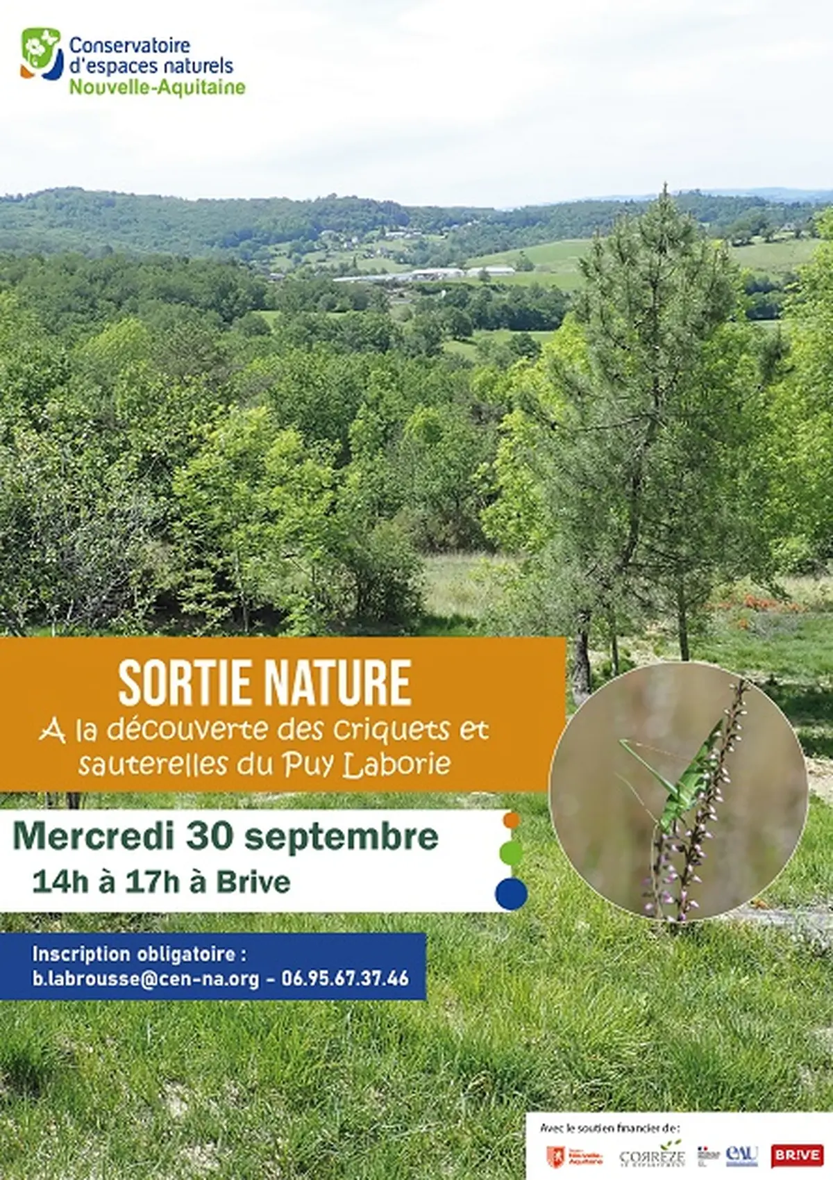 Sortie nature: A la découverte des criquets et sauterelles du Puy Laborie