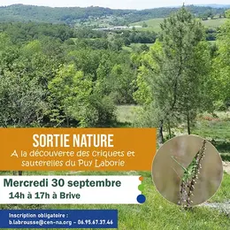 Sortie nature: A la découverte des criquets et sauterelles du Puy Laborie