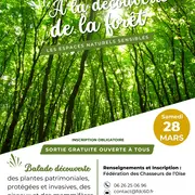 Sortie nature à la découverte des espaces naturels sensibles : la forêt