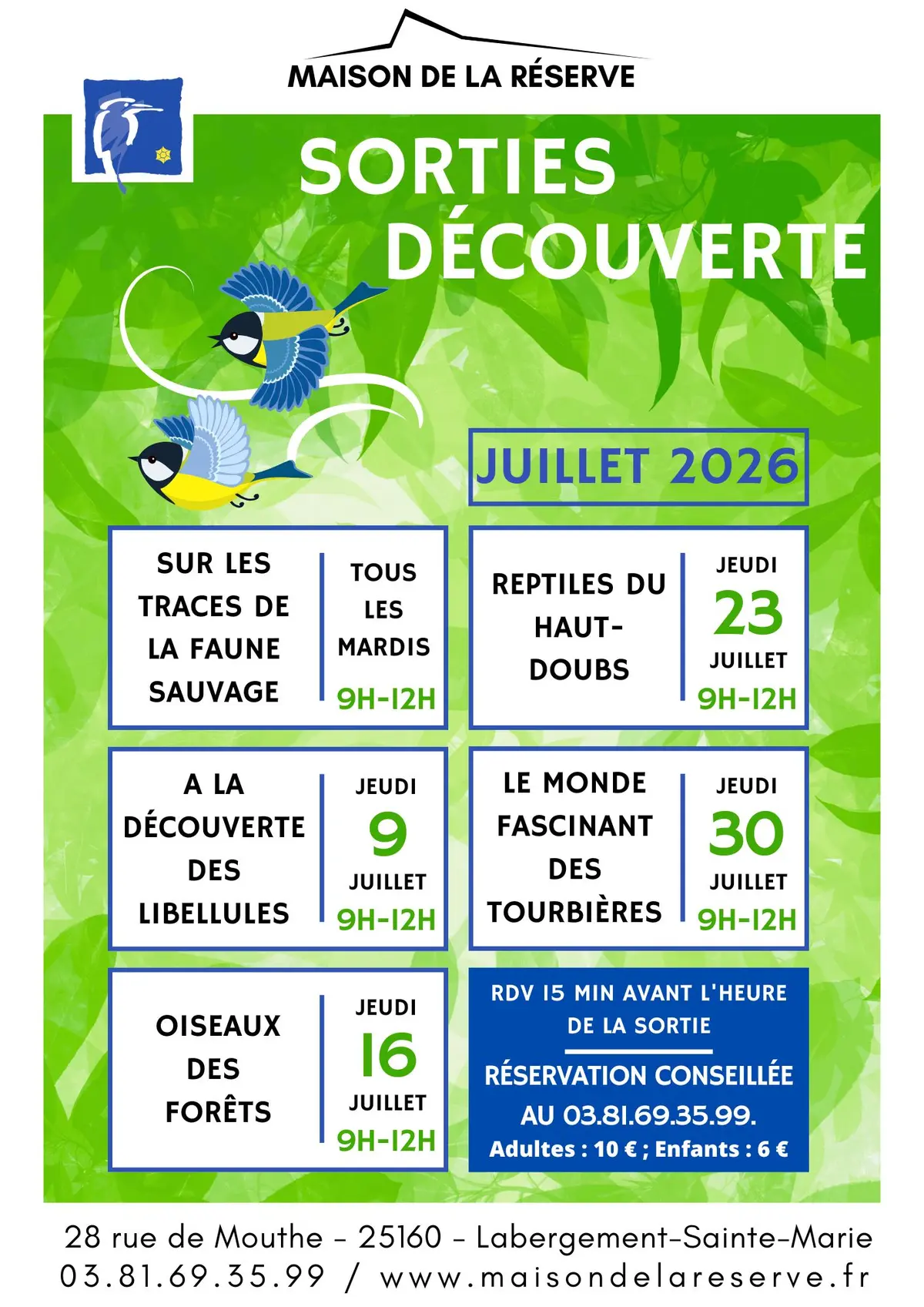 Sortie nature - A la découverte des libellules