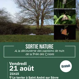 Sortie nature - À la découverte des papillons de nuit de la Prée des Cosses