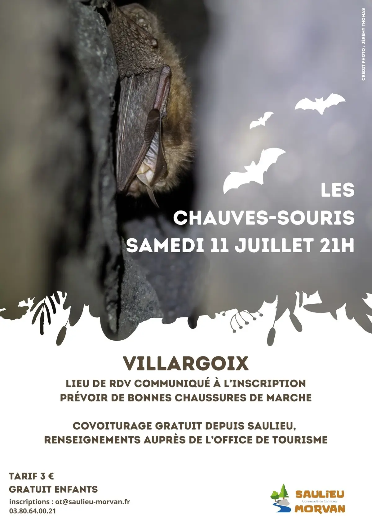 Sortie nature A la rencontre des chauves-souris