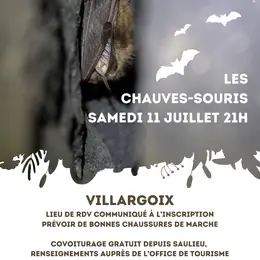 Sortie nature A la rencontre des chauves-souris