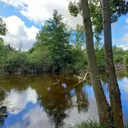 Sortie nature à Laon : Faune et flore au Domaine de la Solitude