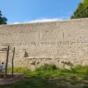 Sortie nature à Laon : Tour des remparts sensoriel et historique