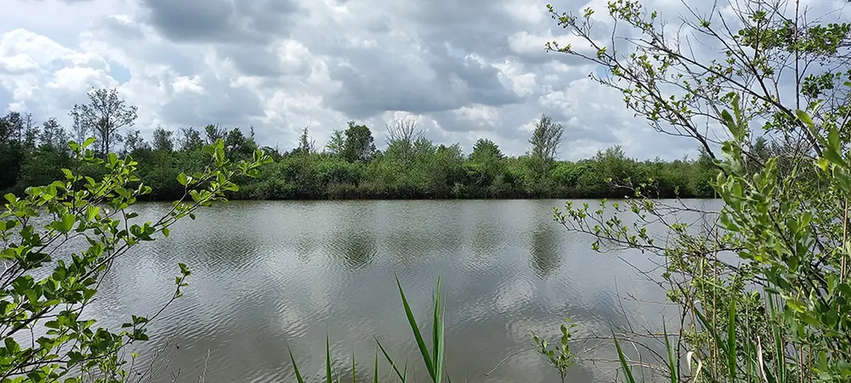 Sortie nature à Liesse-Notre-Dame : Les oiseaux en liesse !