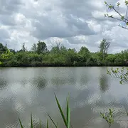 Sortie nature à Liesse-Notre-Dame : Les oiseaux en liesse !