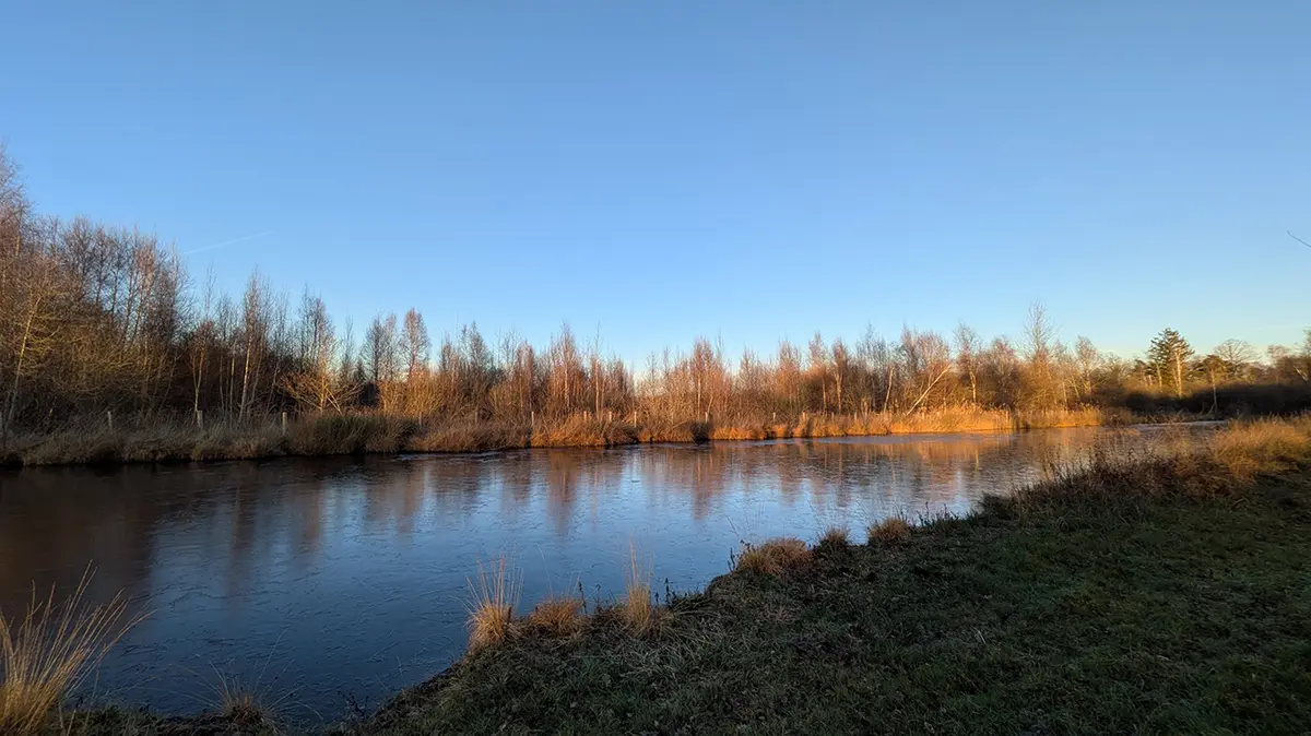 Sortie nature à Liesse-Notre-Dame : Monde de la nuit